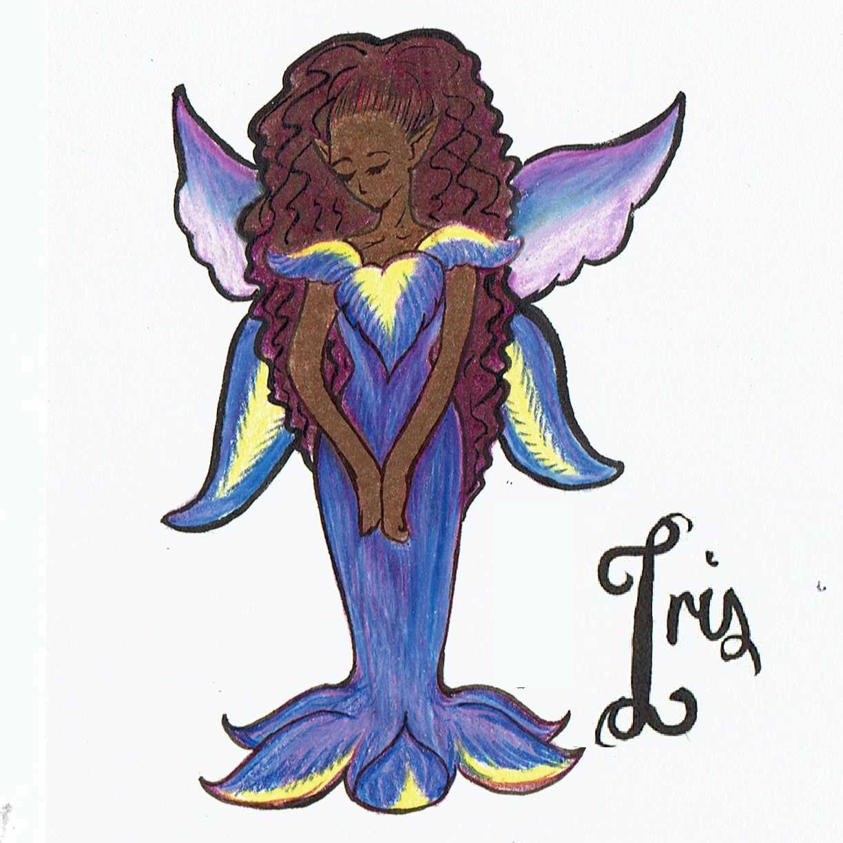 iris iris